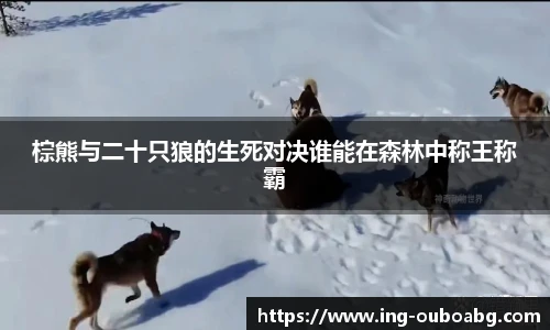 欧博官网